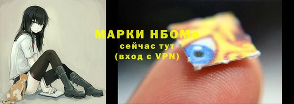 ПСИЛОЦИБИНОВЫЕ ГРИБЫ Верхний Тагил