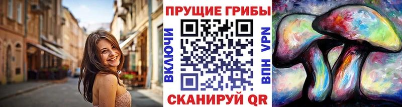 купить закладку  Волхов  Галлюциногенные грибы мухоморы 